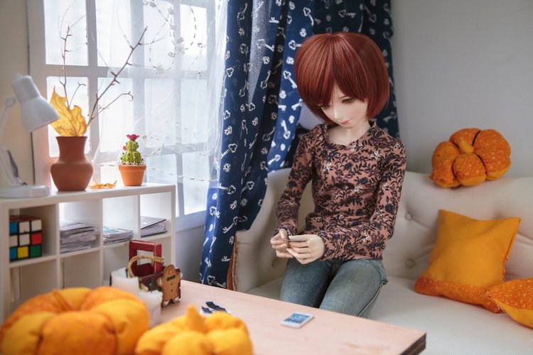 Гость — Фотоистории с куклами BJD (БЖД): сериалы