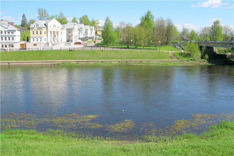 Одуванчиковая нежность, прогулка по Торжку (фото 3)