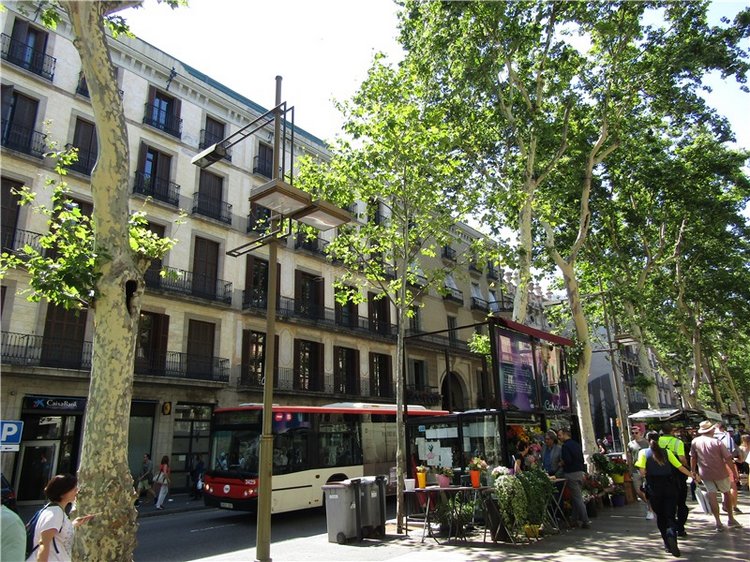 Рынок Бокерия - главная достопримечательность Барселоны (фото 2)