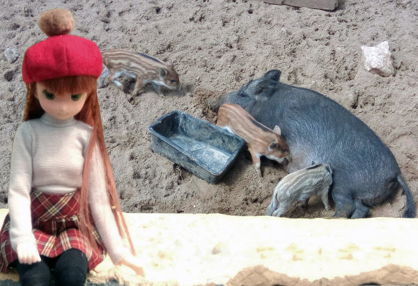 Тинка в экопарке — Куклы и тела Obitsu (Обитсу): 1/6 (фото 7)