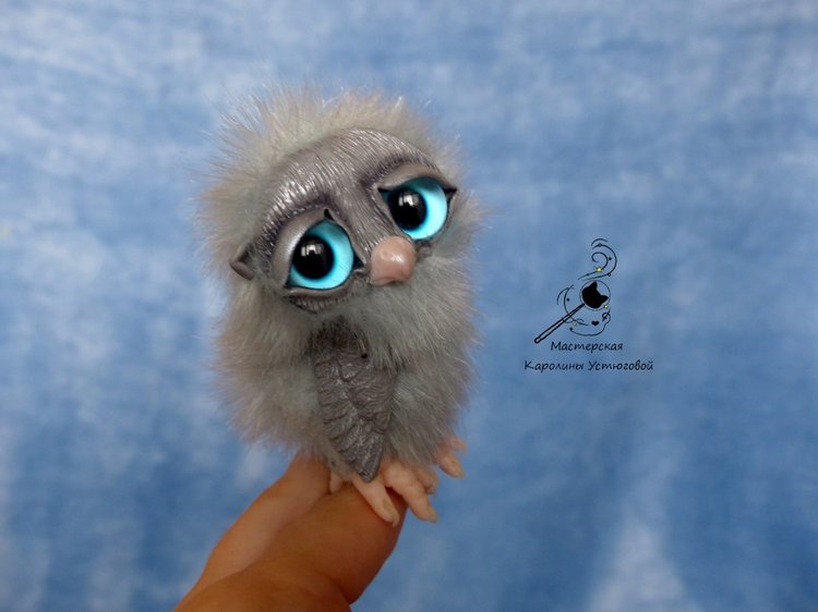 Голубоглазый Совенок Акви (фото 2)