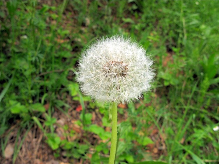 Тверской Водопад — Туризм и путешествия: фотоотчеты из поездок