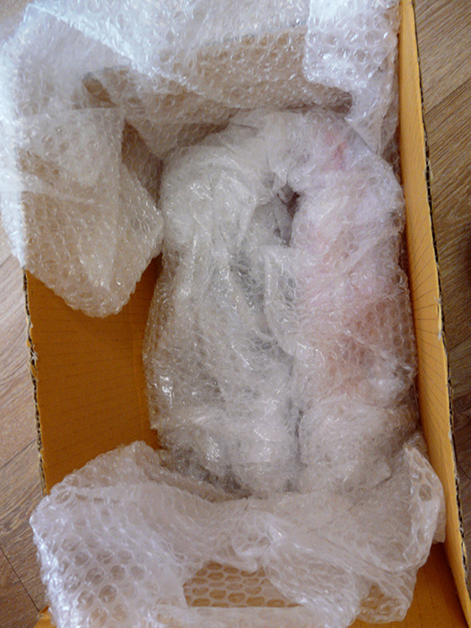 В дорогу дальнюю, дальнюю, дальнюю идем (фото 8)