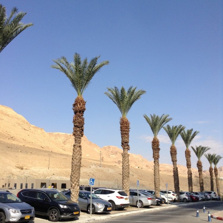 Белое солнце пустыни. Ч.1 Дорога к морю