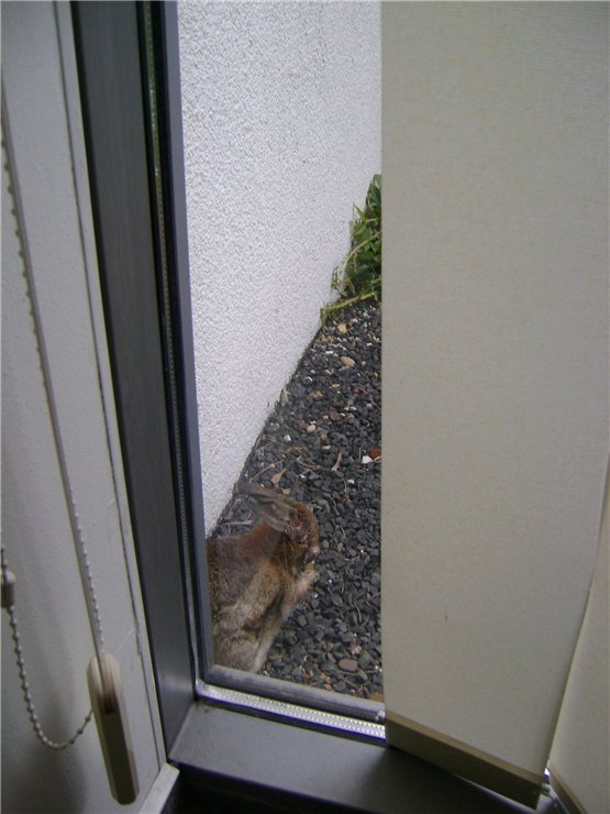 Моя поездка в музей Hildegard Günzel. Часть первая - Начало поездки и встреча