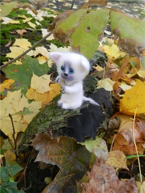 Возвращение Элизы (БЖД от Планетдолл) (фото 6)