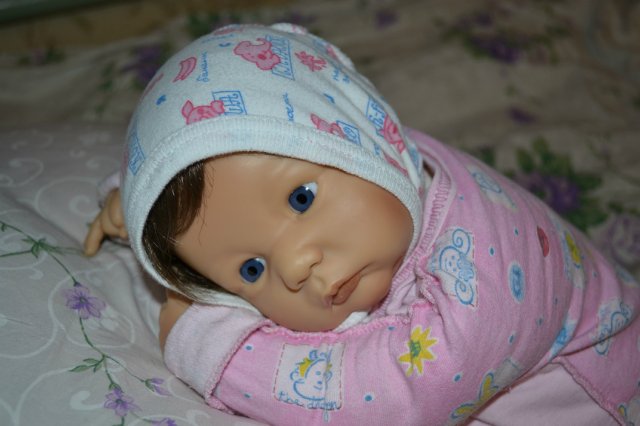 Такая домашняя и уютная Гвэн - наши будни