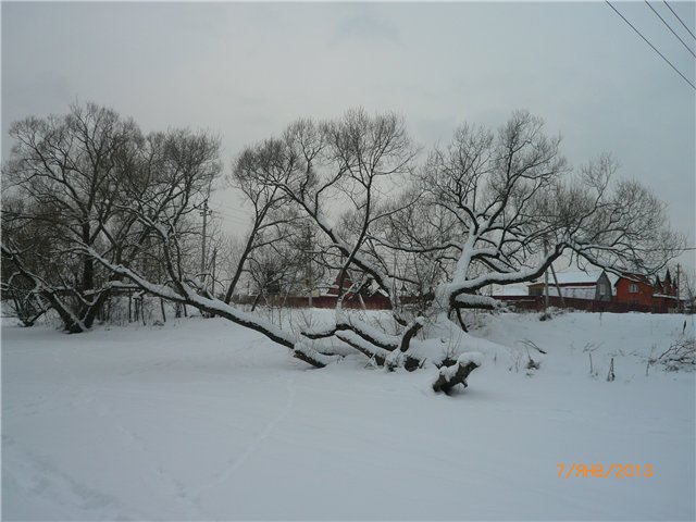 Кукла Света и Рождество — Советские винтажные куклы (СССР): Ленигрушка (фото 4)