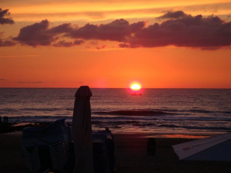 Путешествие по Схевенингену (Scheveningen, Holland)