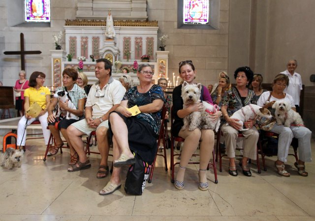 Мне вслед глядит душа кошачья... 4 октября - день памяти святого Франциска и Международный день животных