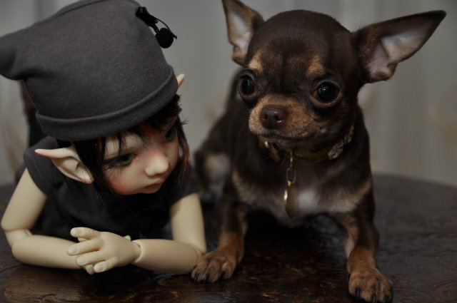 Мой маленький гномик Талиса и Фенечка от Кайе Виггз