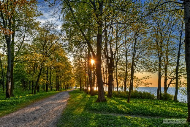 Доллпати для Питерцев. Приглашение! Предлагаю кукольную прогулку в Петергоф