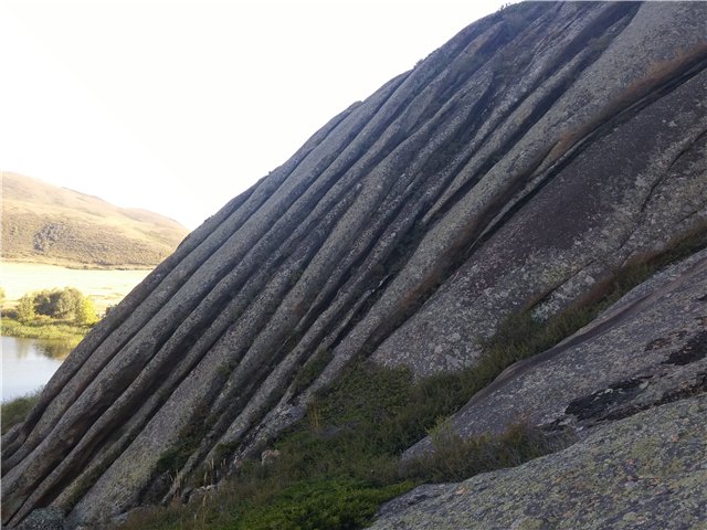 Сибинские озера. Фросенька-эльф высокогорный. ReaiPuki Pupu