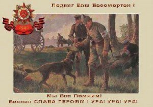 Неизвестная война. Собаки Победы