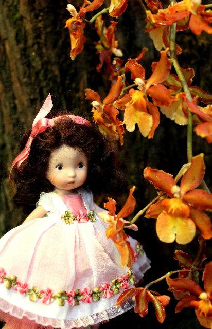 Цветочные феи - Ненси Энн, Диана Эффнер