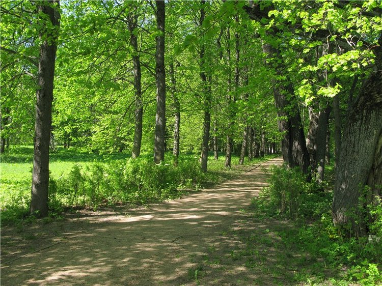 Субботний вояж. Заключительная часть