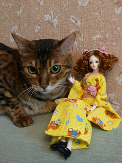 Метелька и её новый друг | Бэйбики Метелька и её новый друг — Куклы Souldoll (Соулдолл): BJD (БЖД) (фото 6)