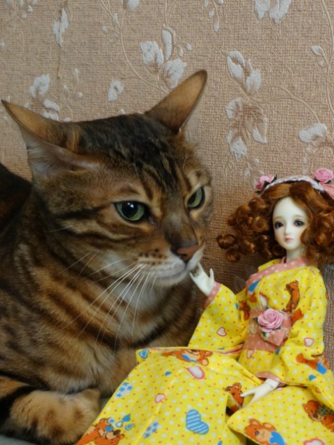 Метелька и её новый друг | Бэйбики Метелька и её новый друг — Куклы Souldoll (Соулдолл): BJD (БЖД) (фото 8)