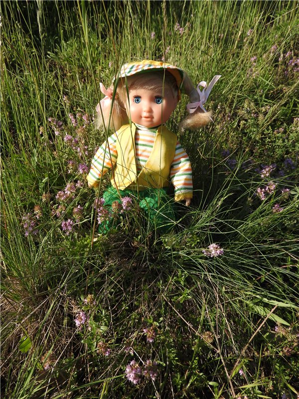 Любителям маленьких кукол