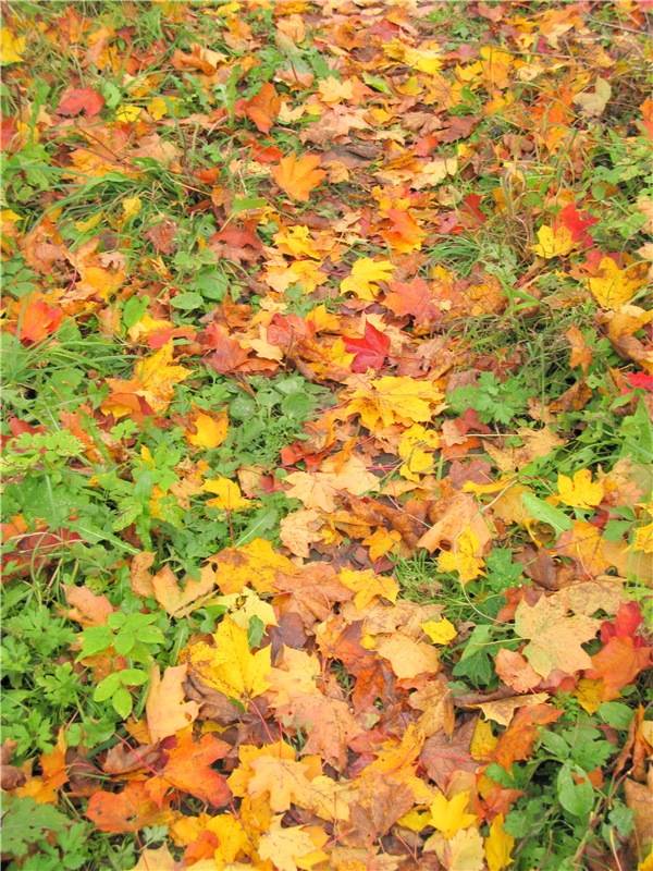 Осенний блюз — Куклы Heidi Plusczok (Хайди/Хейди Плюсчок) — фото (фото 3)