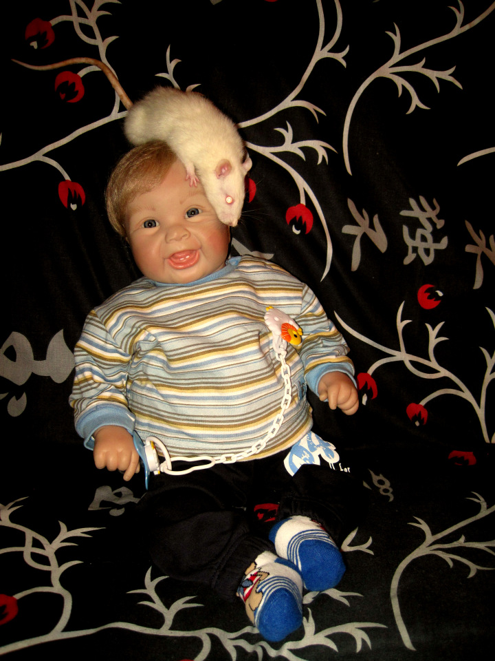 Маш новенький малыш Ванечка. Коллекционная кукла Tinneke Steensens | Бэйбики Маш новенький малыш Ванечка. Коллекционная кукла Tinneke Steensens (фото 10)