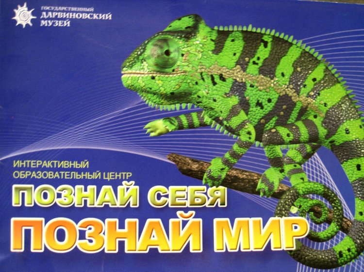 День в музее. Анжела в Государственном Дарвиновском музее