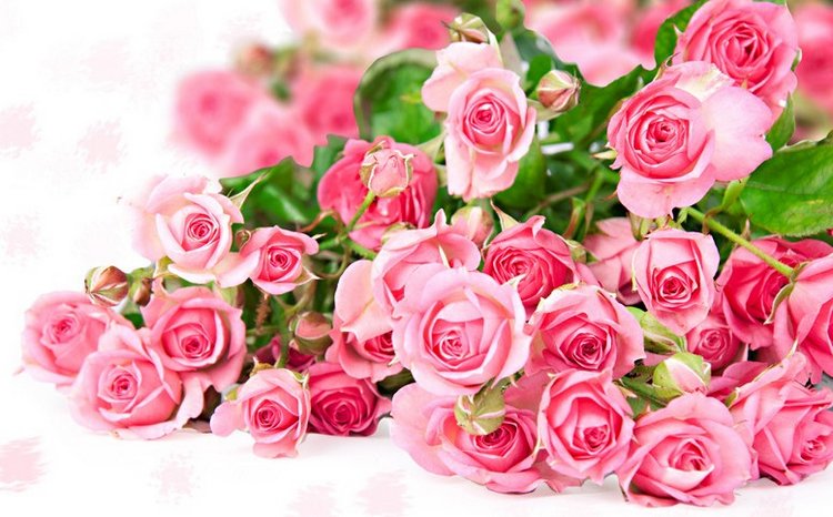 Санта-Барби. Всё идёт по плану (фото 10)