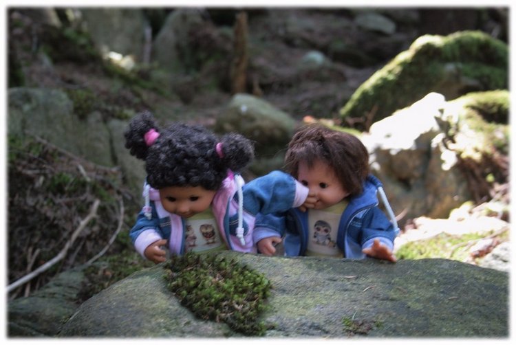 Как мы горы покоряли — Куклы Rosemarie Anna Muller (Мюллер): Вихтели (Wichtel)