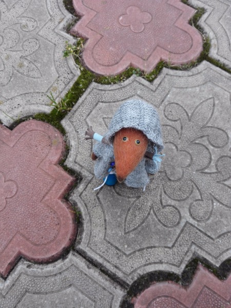 Краски осени. Прогулка с авторским лисёнком (фото 6)