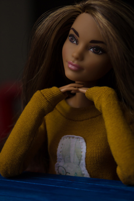 Мои Барбеечки Made to Move и гибриды (фото 6)