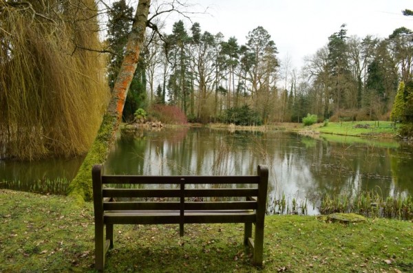 Зимнее солнце. Глава 10. Джаред из семьи Фоксов (фото 10)