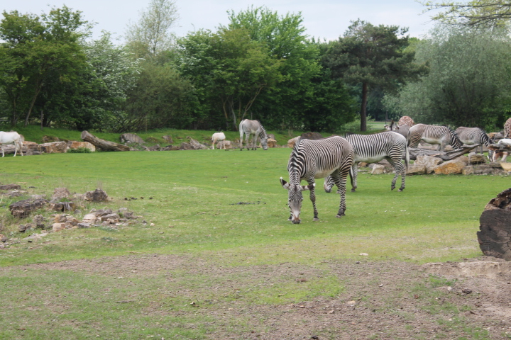 По Германии: зоопарк Лейпцига, часть 1