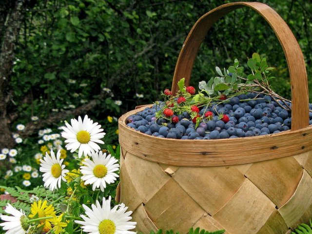 Ключи от лета или Полевица. Коллекционная кукла Элизы Глазгольд (фото 7)