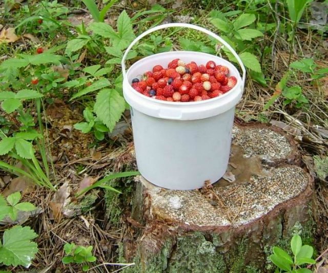 Ключи от лета или Полевица. Коллекционная кукла Элизы Глазгольд (фото 8)