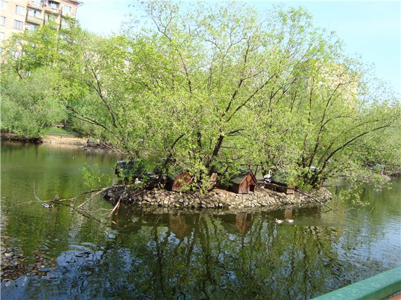 Наша традиционная майская прогулка по Московскому зоопарку