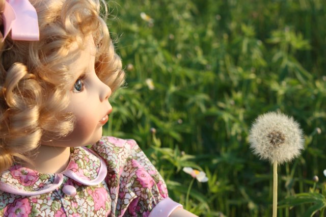 Девочка одуванчик. Leonie, Hildegard Gunzel (фото 8)