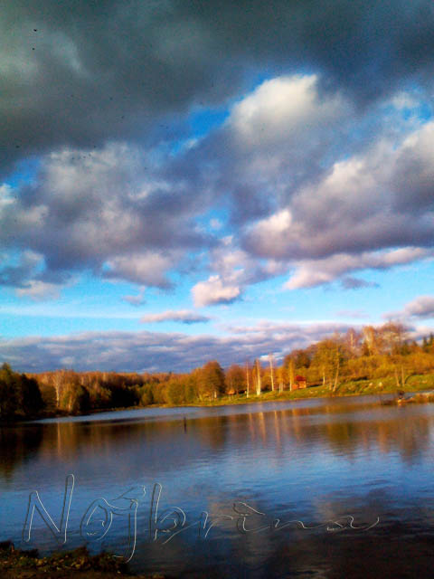 Осенняя поездка. Куклы Gotz и Berenguer (фото 8)