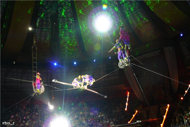 Вот так чудеса или как Ариэль в Большой Московский Цирк ходила. PukiFee Ante Ариэтти, PukiFee Bonnie Ариэль