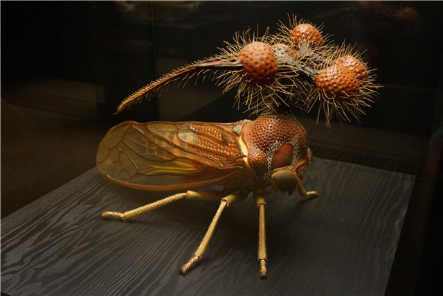 Взятие Берлина. Часть 3. Аква-дом, Улыбка бегемота и Прототип куколок Шильдкрот