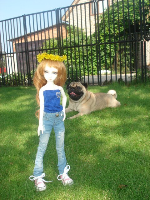 Моя первая БЖД Аврора. Мей от ResinSoul