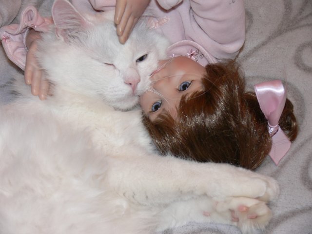 Интересно, кто кого больше любит