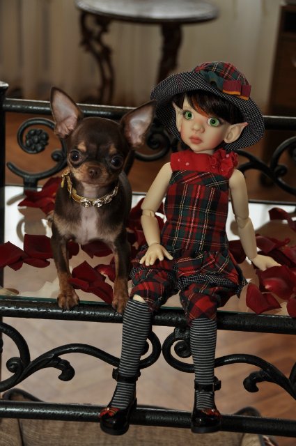 Мой неожиданный подарок на день рождения - Талисса Кайе Виггз (Talyssa Elf in Fair Skin Tone Kaye Wiggs) (фото 7)