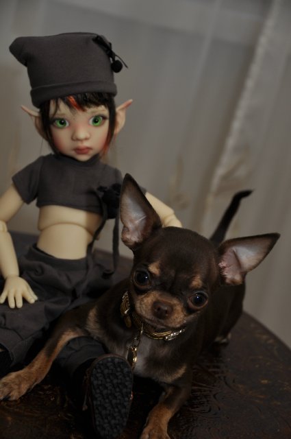 Мой маленький гномик Талиса и Фенечка от Кайе Виггз