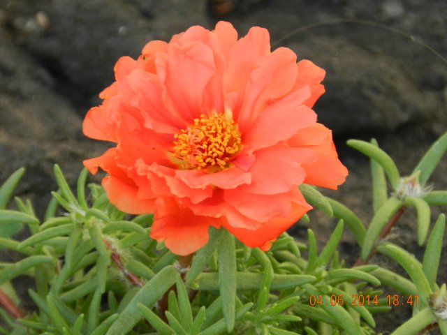 Навстречу лету в новых нарядах | Бэйбики Навстречу лету в новых нарядах