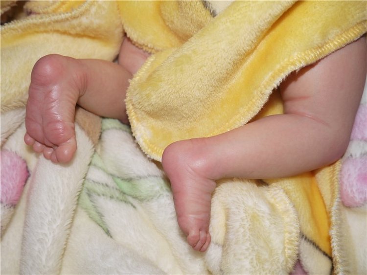 Малыш эльфик Василёк из молдика Офелия, кукла реборн Натальи Фединой, Baby-Zest