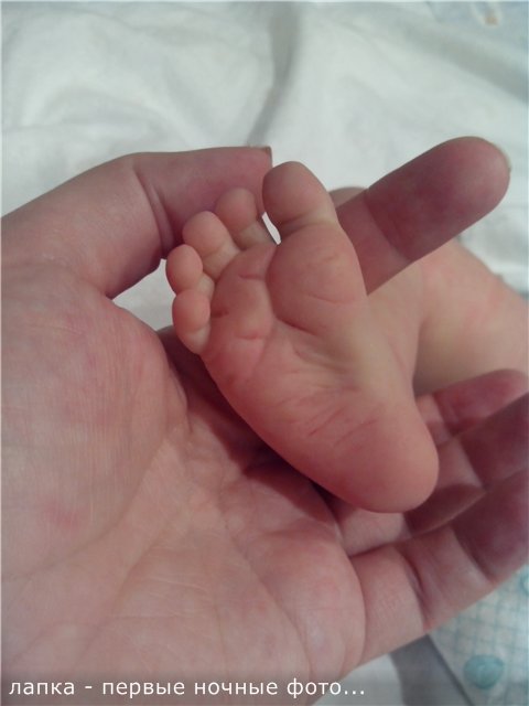 Маленький малыш реборн Андрейка, молд Жульен (фото 6)