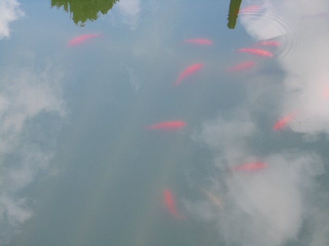 "Моя Италия". Часть 1 - Генуя (фото 10)