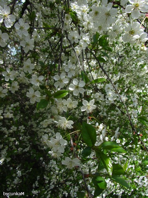 После дождичка в четверг — Болталка и разговоры обо всем: жизнь (фото 10)