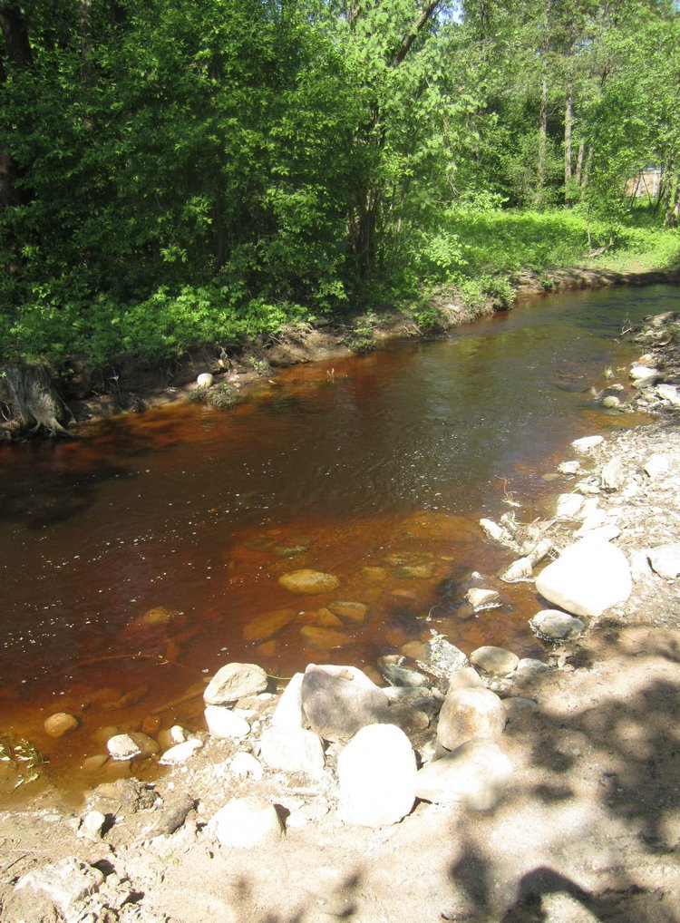 Назад в прошлое | Бэйбики Назад в прошлое — Болталка и разговоры обо всем: жизнь