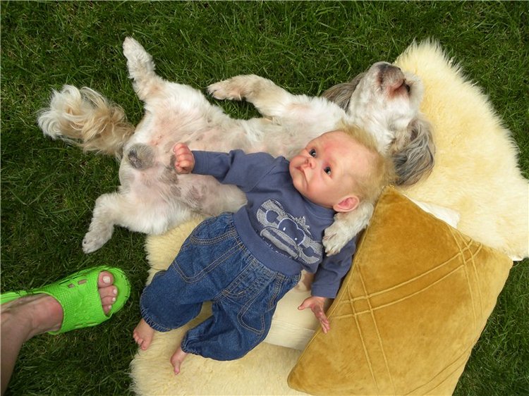 Мой не запланированный Лягушонок реборн